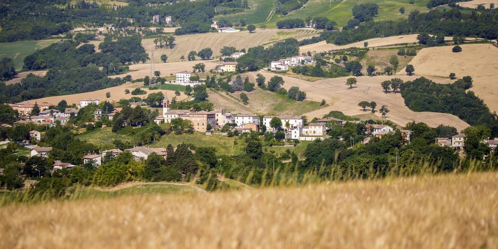 Il Sogno Di Tino Villa Cabernardi ภายนอก รูปภาพ