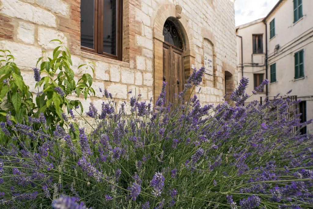 Il Sogno Di Tino Villa Cabernardi ภายนอก รูปภาพ